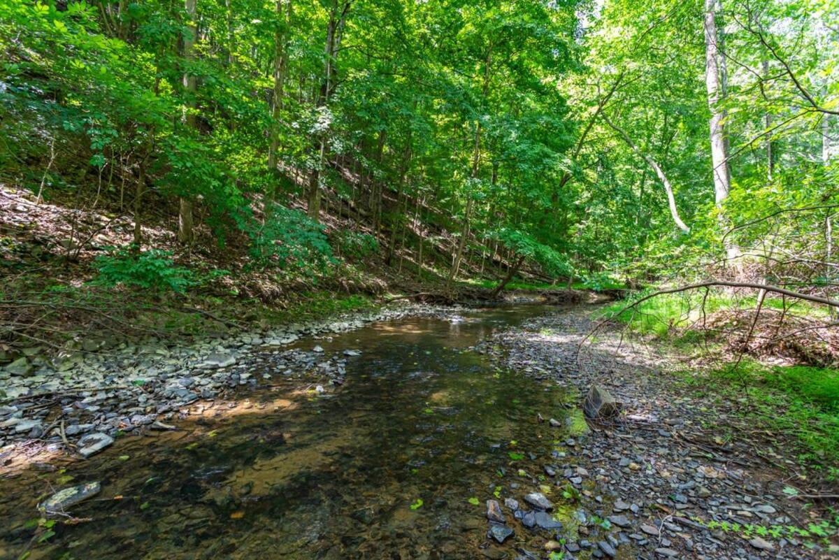 Hot Tub, Large Deck, Wifi, Fire Pit At Chalet Cabin Morton Grove Bagian luar foto